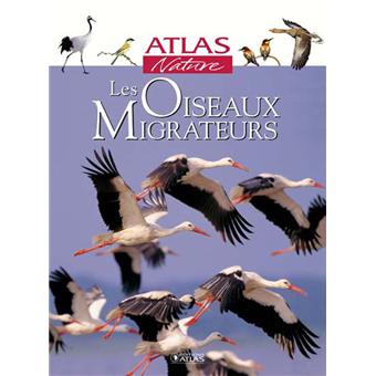 Les oiseaux migrateurs - 1