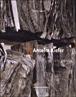 Anselm Kiefer - 1