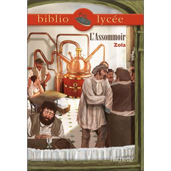 Résumé de L'Assommoir par chapitres assommoir resume