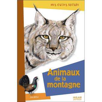 Animaux de la montagne - 1