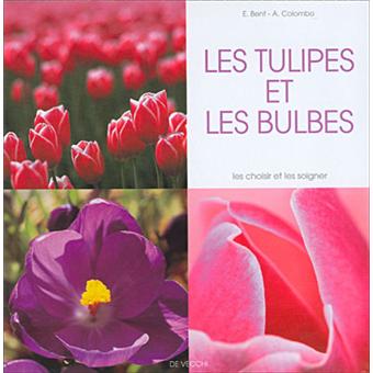 Les tulipes et les bulbes - 1