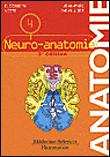 Anatomie