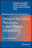 Emergent non-linear phenomena in bose-einstein condensates - 1