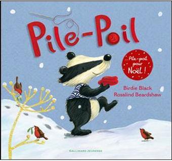 Pile-Poil