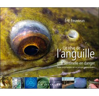 Le rêve de l'anguille - 1