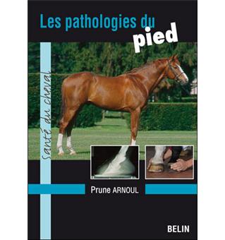 Les Pathologies Du Pied - 