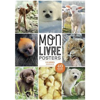 Les Bebes Animaux Mon Livre Posters Broche Christine Pompei Achat Livre Fnac