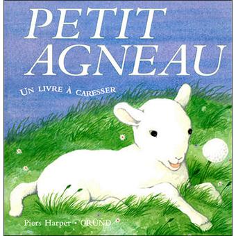 Petit agneau