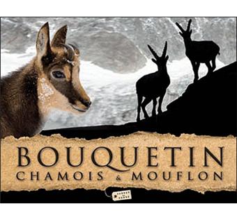 Bouquetin Chamois Et Mouflon Broche Collectif Achat Livre Fnac