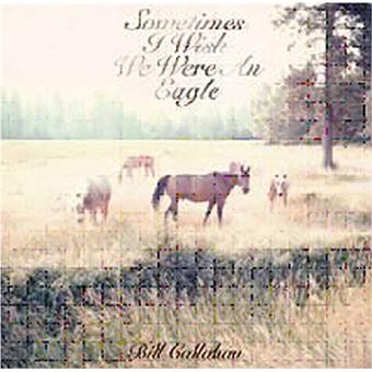 Bill Callahan - 1
