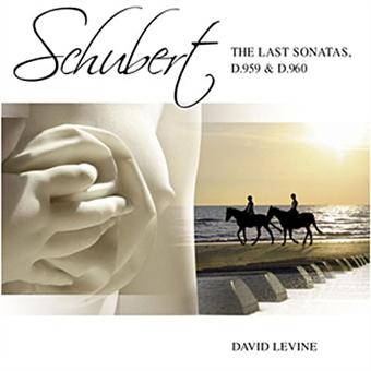 Sonate pour piano D959 960 - Franz Schubert - CD album - Achat & prix ...