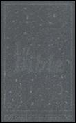 Bible segond 21 compacte semi-rigide illustre metalisee