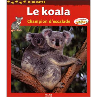 Koala Champion Descalade Champion D Escalade Cartonne Joseph Callioni Valerie Tracqui Achat Livre Fnac