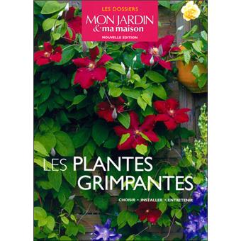 achat plantes grimpantes achat plantes grimpantes