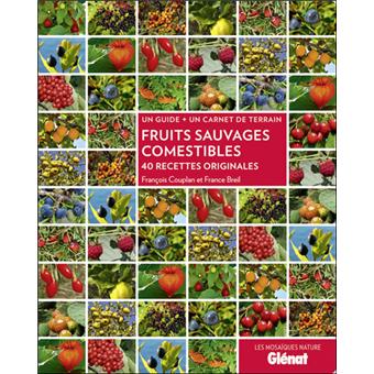 Fruits Sauvages Comestibles 40 Recettes Originales Broche
