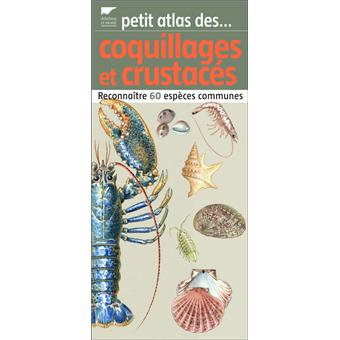 Petit Atlas Des Coquillages Et Crustaces Reconnaitre 60 Especes Communes Broche Vincent Albouy Achat Livre Fnac