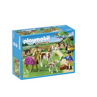Playmobil - Chevaux/poulain