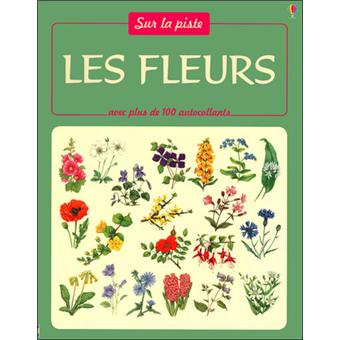 Fleurs