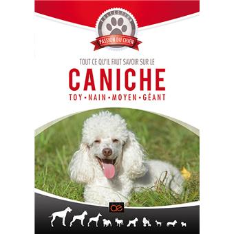 Passion Du Chien Caniche