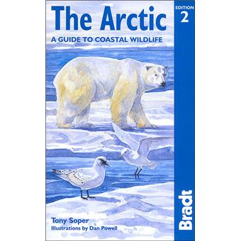 The Arctic