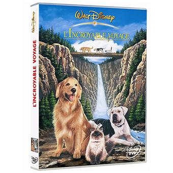 L'Incroyable voyage