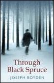 Through black spruce - 1