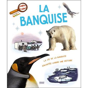 La banquise - 1