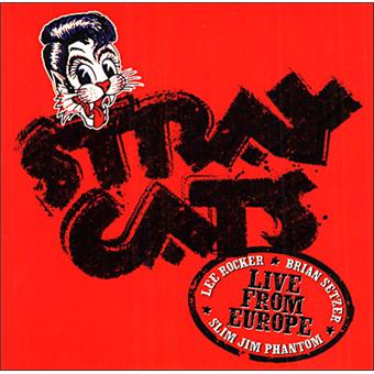 Live From Europe The Stray Cats Cd Album Achat Prix Fnac