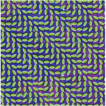 Animal Collective - 1