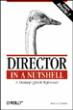 Director in a nutshell
