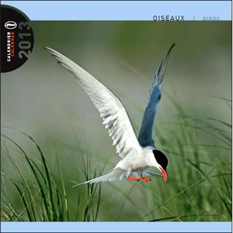 Calendrier 2013 30x30 Pictura oiseaux