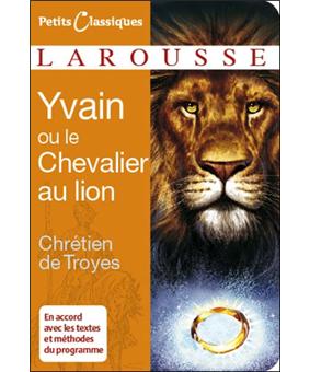 Comment yvain rencontre t il le lion