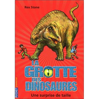 La Grotte Des Dinosaures Tome 11 La Grotte Des Dinosaures Tome 11 Une Surprise De Taille Rex Stone Poche Achat Livre Fnac