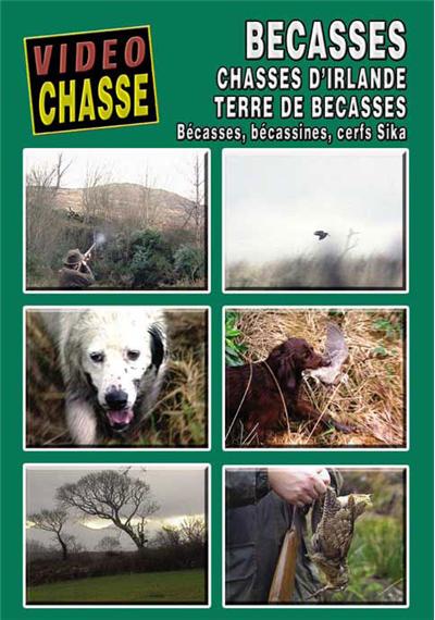 Bécasse : Chasses d'Irlande, terre de bécasses - DVD Documentaire - PETIT GIBIER - Vidéotel