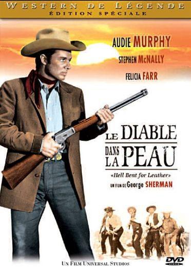 Le Diable dans la peau DVD