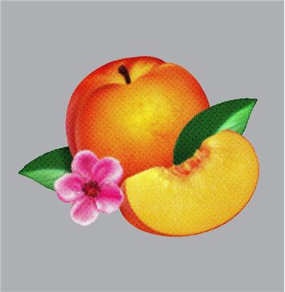 Bankrupt - Edition Deluxe
