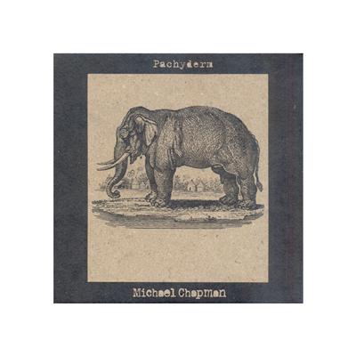 Pachyderm