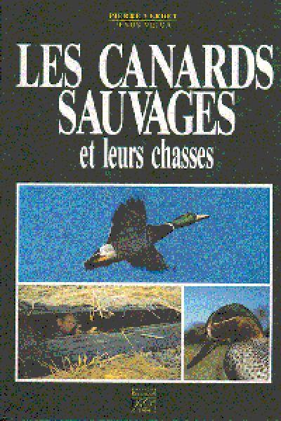 Canards sauvages et leurs chasses