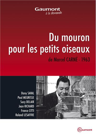 Du mouron pour les petits oiseaux DVD