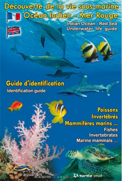 Découverte de la vie sous-marine Océan Indien - Mer Rouge -  Collectif - broché