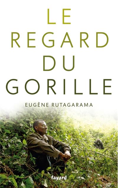 Le regard du gorille