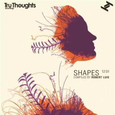 Shapes 12 - 01