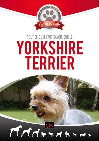 Passion du chien : Yorkshire Terrier