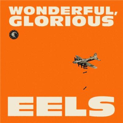 Wonderful glorious - Edition deluxe