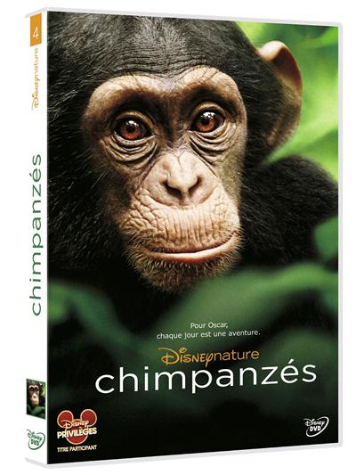 Chimpanzés