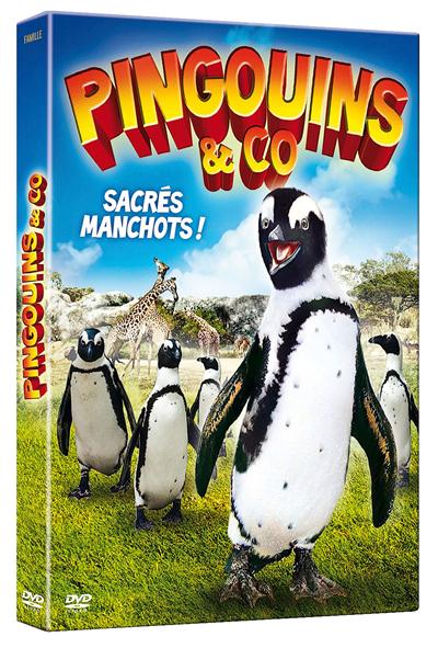 Pingouins & Co : Sacrés manchots !