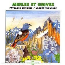 Merles et grives