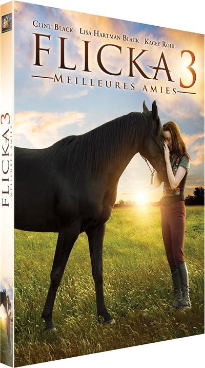 Flicka 3