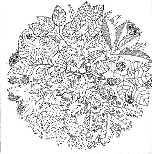 Antistress 36 Illustrations Florales à COLORIER Livre de Coloriage pour Adultes Jardins Secrets 