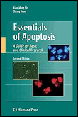 Essentials of apoptosis